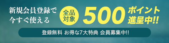 新規会員登録で500pt